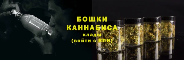 PSILOCYBIN Новодвинск