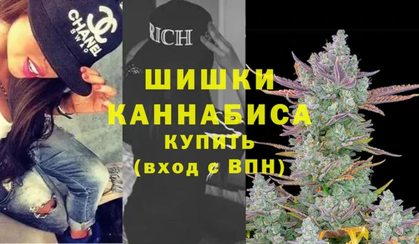 PSILOCYBIN Новодвинск